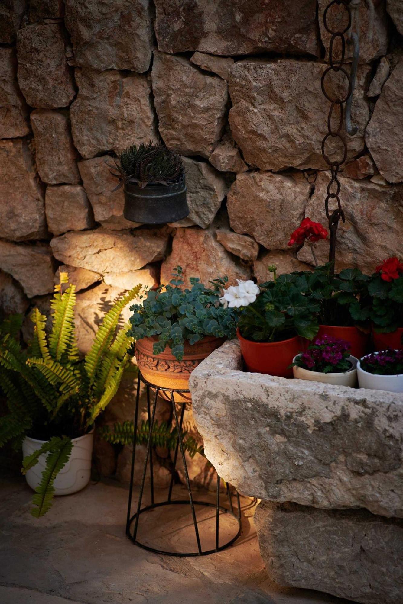 קאבטאט Apartments Micika חדר תמונה